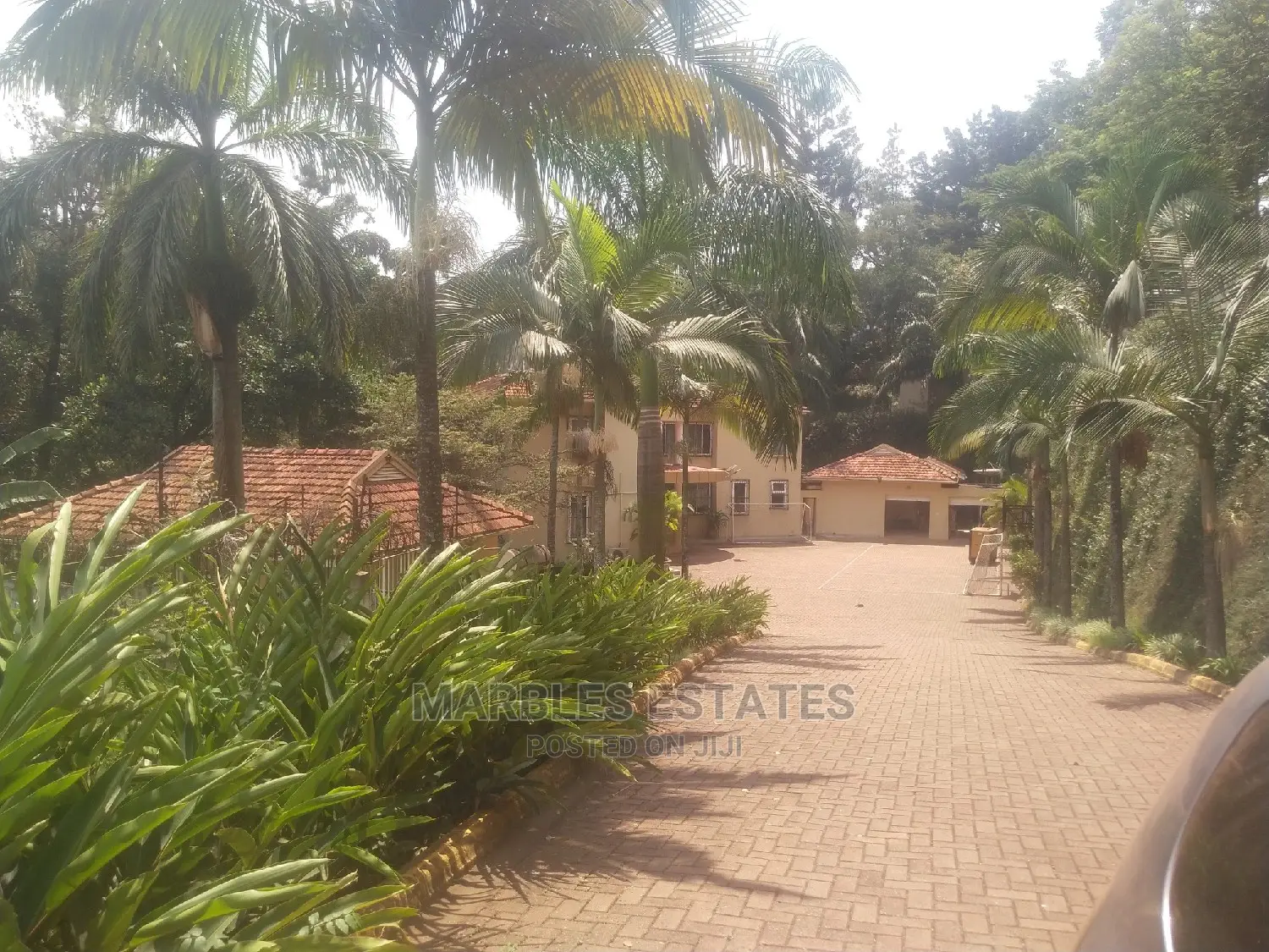 10bdrm House in Kololo, Central Division for Rent in Central Division